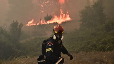 Σημαντική δασική πυρκαγιά εκδηλώθηκε το απόγευμα της Κυριακής, περί τις 15:00, στην ευρύτερη περιοχή του Γερακιού Αμαλιάδας, προκαλώντας