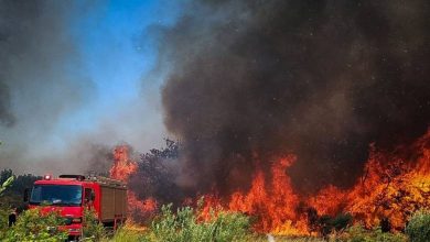 Σε πλήρη εξέλιξη βρίσκεται η μεγάλη πυρκαγιά που ξέσπασε το μεσημέρι της Κυριακής, 13 Ιουλίου, σε αγροτοδασική περιοχή στο Αλιβέρι Ευβοίας