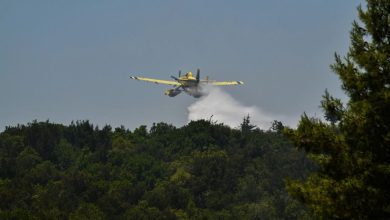 Σε συναγερμό τέθηκε εκ νέου ο κρατικός μηχανισμός, καθώς νέα μεγάλη πυρκαγιά ξέσπασε το πρωί της Πέμπτης σε δασική περιοχή κοντά