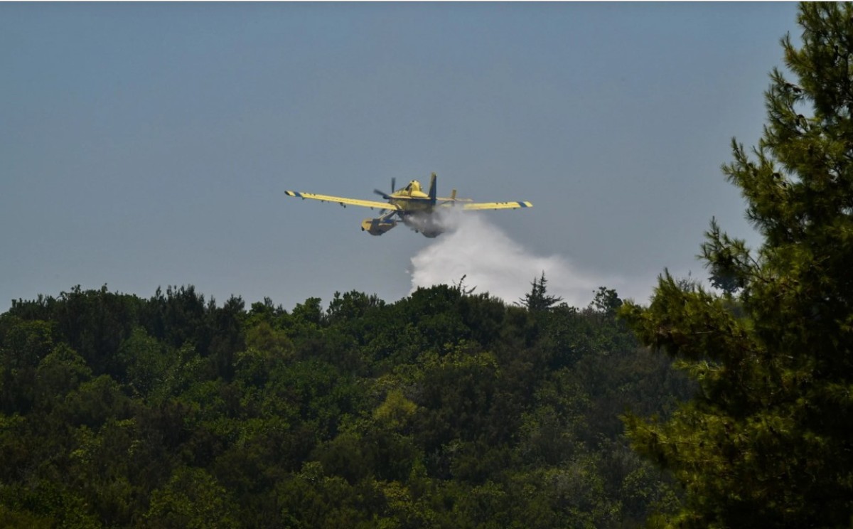 Σε συναγερμό τέθηκε εκ νέου ο κρατικός μηχανισμός, καθώς νέα μεγάλη πυρκαγιά ξέσπασε το πρωί της Πέμπτης σε δασική περιοχή κοντά