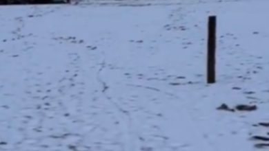 Την ώρα που πολλές χώρες της Ευρώπης πολιορκούνται από καύσωνα με ασυνήθιστες θερμοκρασίες, ένα πρωτοφανές κύμα ψύχους πλήττει την Αργεντινή