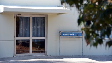 Σε αναστολή καθηκόντων με απόφαση του υπουργού Δικαιοσύνης Γιώργου Φλωρίδη τίθενται από σήμερα ο Ανδρέας Γκότσης, ιατροδικαστής Πατρών