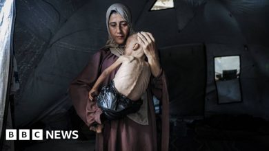 Την ιστορία πίσω από μία συγκλονιστική φωτογραφία ενός μωρού που λιμοκτονεί στη Γάζα παρουσιάζει το BBC. Στη βόρεια Γάζα, ένα βρέφος