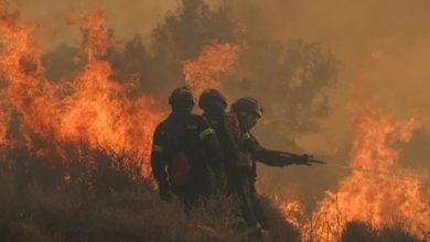 Συναγερμός σήμανε λίγο μετά τις 16:00 στην Πυροσβεστική Υπηρεσία Κρήτης λόγω εκδήλωσης πυρκαγιάς στην περιοχή Χαμέζι Σητείας