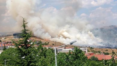 Συναγερμός σήμανε στην Κοζάνη το μεσημέρι της Δευτέρας, λόγω μεγάλης πυρκαγιάς που εκδηλώθηκε σε αγροτοδασική έκταση στην περιοχή Άργιλος.