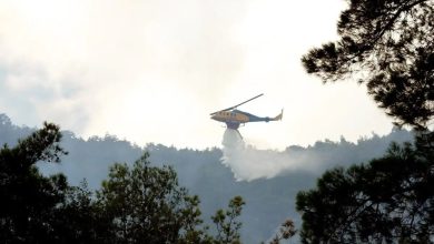 Σε πύρινο κλοιό τα Κύθηρα, καθώς σφοδρή πυρκαγιά ξέσπασε νωρίς το πρωί της Παρασκευής στην περιοχή Πιτσινάδες, κατακαίγοντας