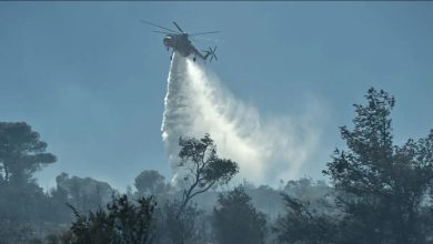 Φωτιά ξέσπασε το μεσημέρι της Παρασκευής,  σε περιοχή χαμηλής βλάστησης στη Σταμάτα, στον δήμο Διονύσου Αττικής. Η πυρκαγιά