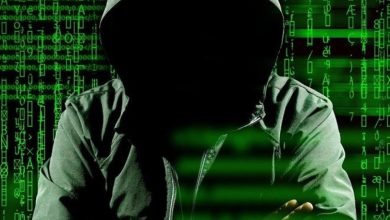 Ο ένας καταζητούμενος είναι 38 ετών, Ρώσος υπήκοος, γνωστός στο Διαδίκτυο με το ψευδώνυμο «darkklogo». Η φερόμενη ως συνεργός του