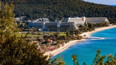 Σε θρίλερ εξελίσθηκαν οι διακοπές δύο φίλων στη Χαλκιδική, καθώς μία 33χρονη γυναίκα από τη Σερβία χάθηκε χωρίς ίχνος στο Πευκοχώρι