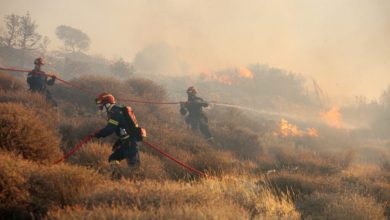 Σε εξαιρετικά κρίσιμο στάδιο βρίσκεται η μάχη με τις φλόγες στον Δήμο Ιεράπετρας, καθώς η μεγάλη πυρκαγιά που εκδηλώθηκε το απόγευμα της