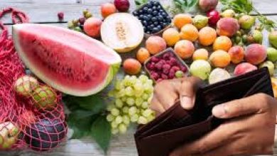 Το ελληνικό καλοκαίρι είναι άρρηκτα συνδεδεμένο με τη δροσιά και τη γεύση των εποχικών φρούτων.