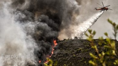 Συναγερμός σήμανε το πρωί του Σαββάτου στην Πολυθέα του Δήμου Τριφυλίας, στην ευρύτερη περιοχή του Αετού Μεσσηνίας