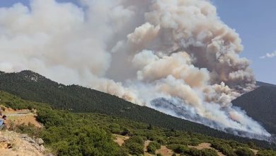 Σημαντική αναζωπύρωση σημειώθηκε το μεσημέρι της Τετάρτης στην πύρινη εστία που μαίνεται στον Φενεό Κορινθίας, με επίκεντρο