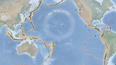 Με αφορμή τον ισχυρό σεισμό, 8,8 της κλίμακας Ρίχτερ στη Ρωσία, μίλησε ο πρόεδρος του ΟΑΣΠ, Ευθύμιος Λέκκας, στην ΕΡΤ.