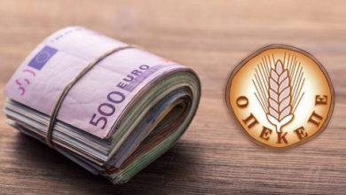 Εκτός λειτουργίας βρίσκεται η επίσημη διαδικτυακή πλατφόρμα του ΟΠΕΚΕΠΕ (https://transpay.opekepe.gr), στην οποία δημοσιεύονται