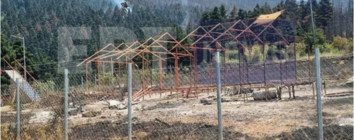 Σε ύφεση βρίσκεται πλέον η καταστροφική πυρκαγιά που ξέσπασε το απόγευμα της Τρίτης στην ευρύτερη περιοχή του Φενεού Κορινθίας