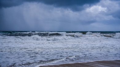 Σύμφωνα με τον μετεωρολόγο του OPEN, Κλέαρχο Μαρουσάκη, η σημερινή ημέρα θα κυλήσει με τοπικές βροχές κυρίως στα ορεινά