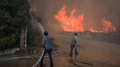 Νέα έρευνα για τις πρόσφατες πυρκαγιές στον δήμο Ερέτριας πραγματοποιεί η Διεύθυνση Αντιμετώπισης Εγκλημάτων Εμπρησμού