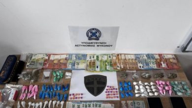 Η "Κάγια" (CAGIA)… μύρισε τα ναρκωτικά που θα γέμιζαν τα σοκάκια της Μυκόνου. Ο τετράποδος αστυνόμος, ράτσας μαλινουά