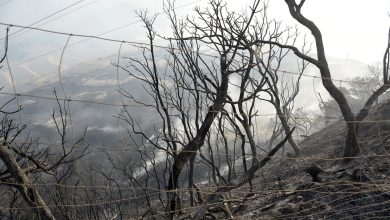 Ξεσπά ο πρόεδρος της Ένωσης Πυροσβεστών Δ. Ελλάδας: «Δεν γίνεται η Πάτρα να έχει μόνο έναν πυροσβεστικό σταθμό»