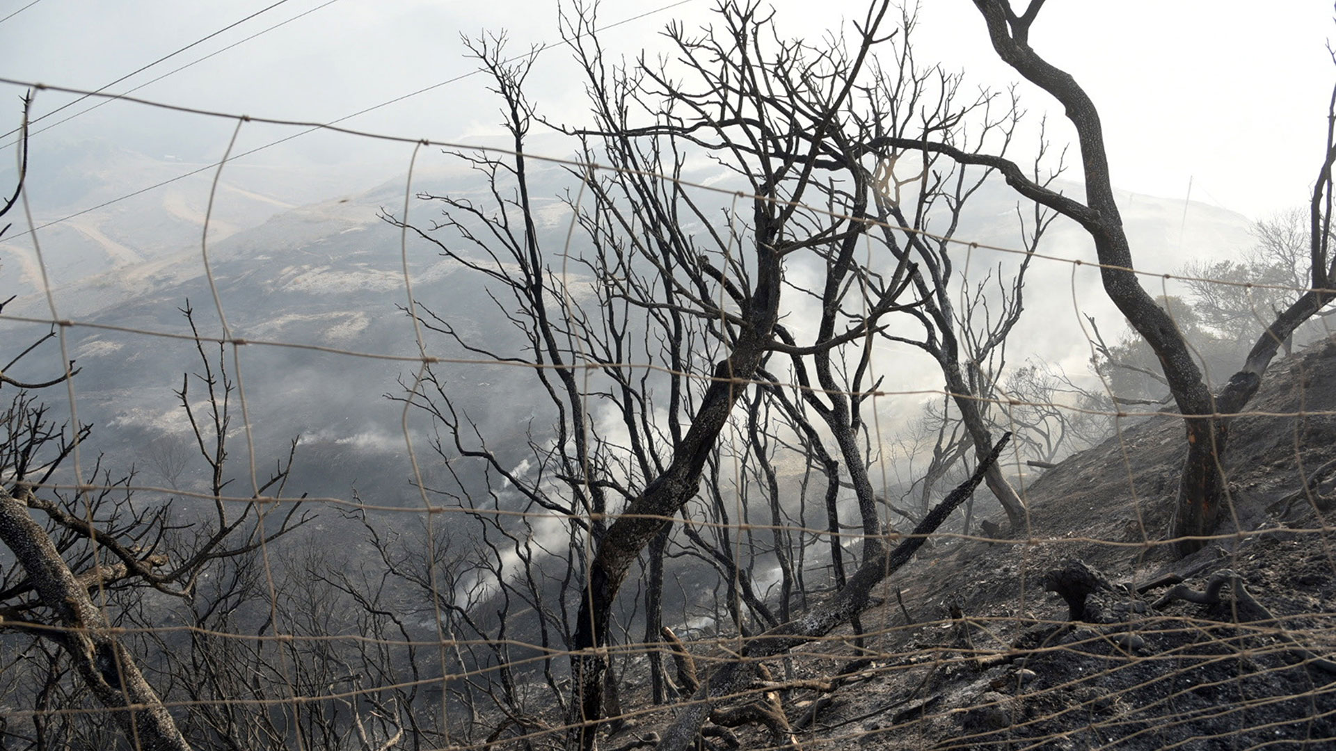 Ξεσπά ο πρόεδρος της Ένωσης Πυροσβεστών Δ. Ελλάδας: «Δεν γίνεται η Πάτρα να έχει μόνο έναν πυροσβεστικό σταθμό»