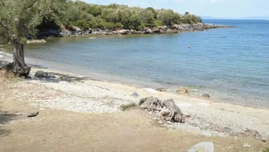 Άγριος καβγάς ξέσπασε σε μια από τις πιο όμορφες και απομονωμένες παραλίες του Νοτίου Πηλίου, σε ένα σκηνικό που κατέληξε σε τρεις συλλήψεις.