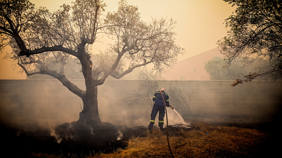 Την ώρα που οι πυροσβεστικές δυνάμεις συνεχίζουν έναν εξαντλητικό αγώνα με τις φλόγες στην Ανατολική Αττική, νέα σοβαρή καταγγελία