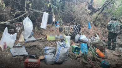 Μεγάλη φυτεία κάνναβης εντοπίστηκε σε δύσβατη περιοχή σε φαράγγι στο Δήμο Καστάνου στα Χανιά.