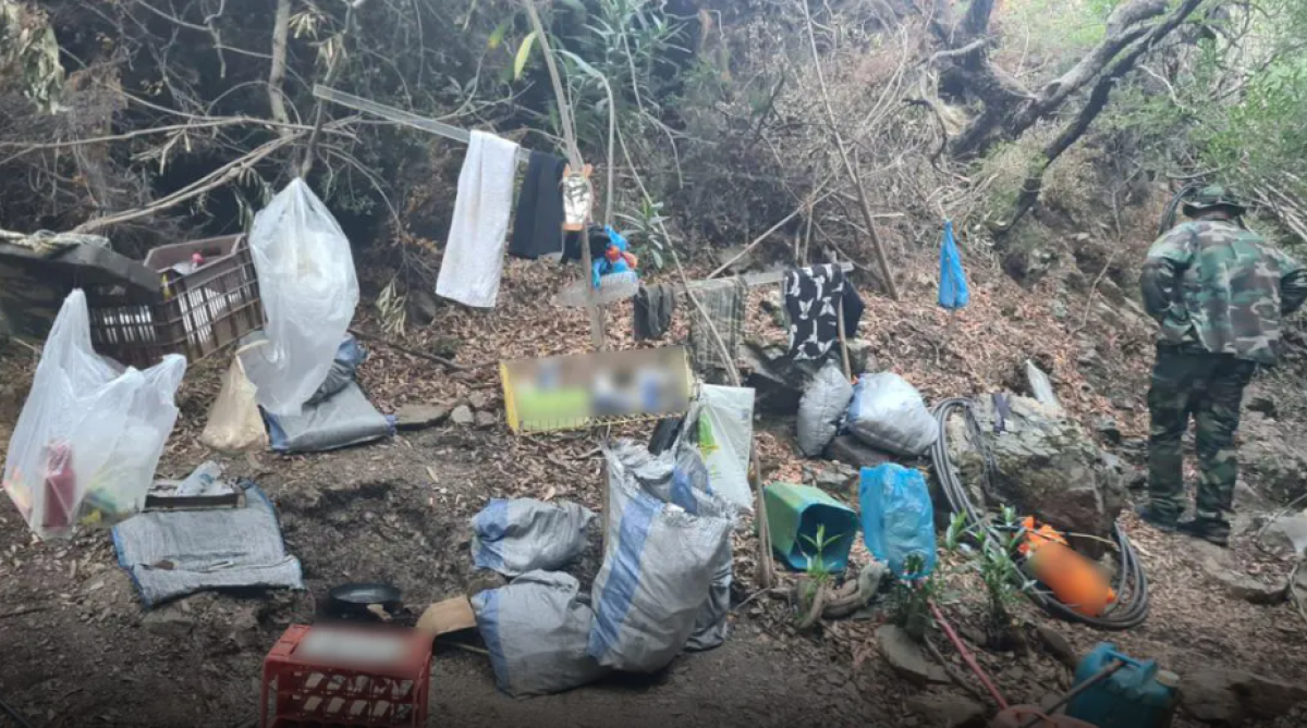 Μεγάλη φυτεία κάνναβης εντοπίστηκε σε δύσβατη περιοχή σε φαράγγι στο Δήμο Καστάνου στα Χανιά.