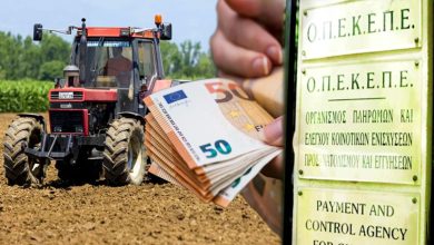 Καθ’ όλη τη διάρκεια του Δεκαπενταύγουστου, οι Αρχές που έχουν αναλάβει την εξιχνίαση του σκανδάλου του ΟΠΕΚΕΠΕ εργάζονται