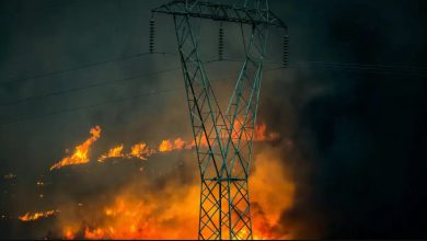 Σε διαρκή επιφυλακή και έντονο αγώνα με τις φλόγες βρίσκονται οι πυροσβεστικές δυνάμεις στο Χελιδόνι της Αρχαίας Ολυμπίας