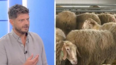 Η ευλογιά των προβάτων εξαπλώνεται ανεξέλεγκτα, αφήνοντας πίσω της σκηνές απόλυτης ερημιάς και απώλειας. Αν η κατάσταση συνεχίσει