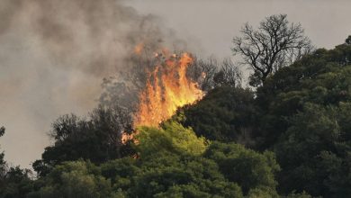 Σε κατάσταση συναγερμού βρίσκονται οι αρμόδιες αρχές στην Αχαΐα το μεσημέρι της Τετάρτης, καθώς ένας κτηνοτρόφος αγνοείται σε περιοχή