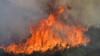 Φωτιές είναι σε εξέλιξη αυτή την ώρα σε πέντε περιοχές της Δυτικής Ελλάδας, όπου πνέουν ισχυροί άνεμοι.
