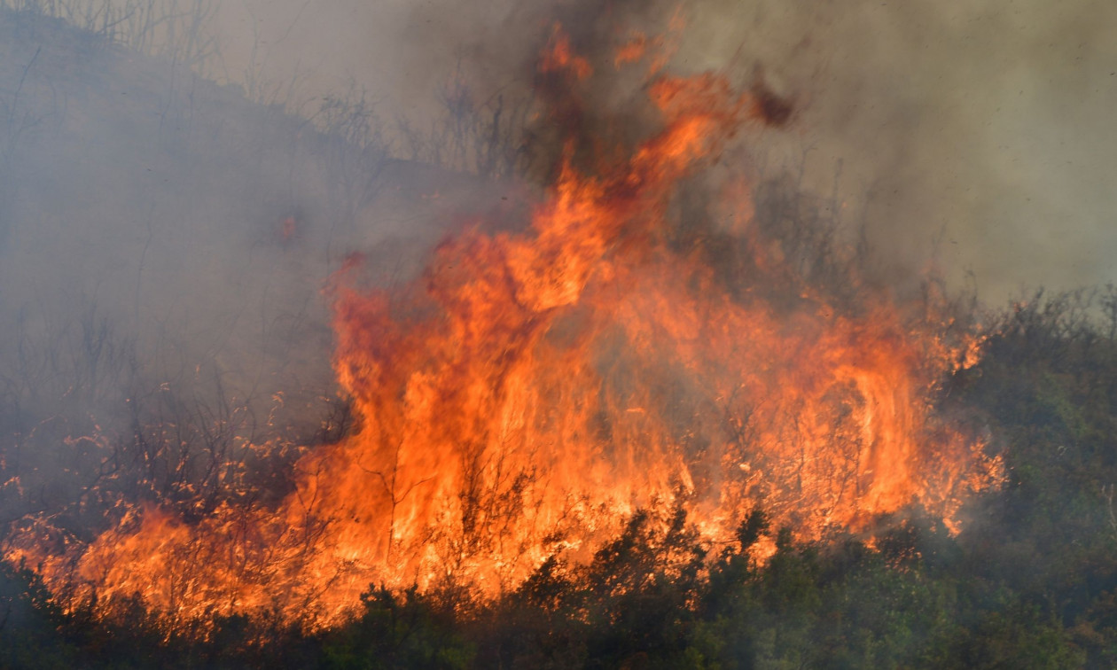 Φωτιές είναι σε εξέλιξη αυτή την ώρα σε πέντε περιοχές της Δυτικής Ελλάδας, όπου πνέουν ισχυροί άνεμοι.