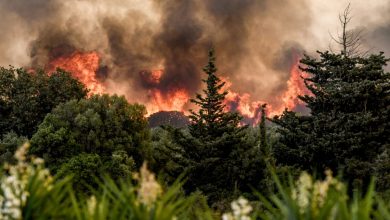 Πολύ υψηλός κίνδυνος φωτιάς (κατηγορία κινδύνου 4) προβλέπεται για αύριο Κυριακή 24 Αυγούστου 2025 σε τρια μεγάλα νησιά (Ρόδο, Σάμο