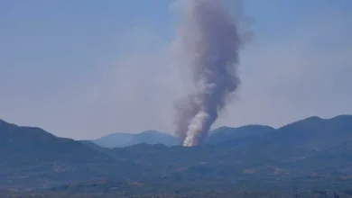 Μεγάλης έκτασης κι έντασης είναι το πύρινο μέτωπο που ξέσπασε στα Πετράλωνα της Μεσσηνίας, με τις φλόγες να πλησιάζουν επικίνδυνα