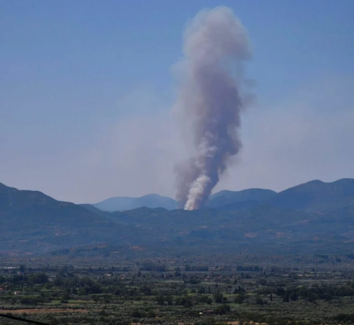 Μεγάλης έκτασης κι έντασης είναι το πύρινο μέτωπο που ξέσπασε στα Πετράλωνα της Μεσσηνίας, με τις φλόγες να πλησιάζουν επικίνδυνα