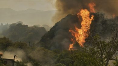 Η χώρα συνεχίζει να καίγεται, με εκατοντάδες πυροσβέστες να μάχονται σε δεκάδες πύρινα μέτωπα. Η κατάσταση είναι κρίσιμη, καθώς οι φωτιές