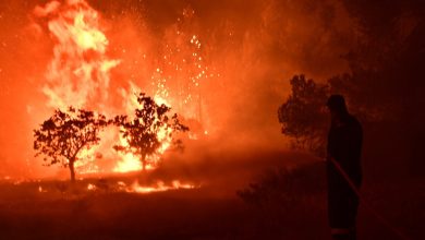 Ραγδαίες είναι οι εξελίξεις στην υπόθεση της καταστροφικής πυρκαγιάς που ξέσπασε το βράδυ της περασμένης Τρίτης στα Συχαινά