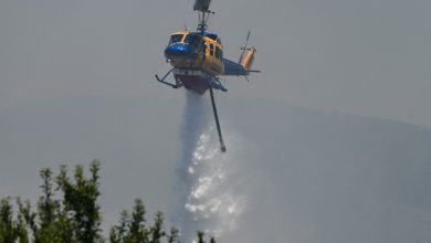 Συναγερμός έχει σημάνει στην Πυροσβεστική Υπηρεσία, εξαιτίας μεγάλης πυρκαγιάς που εκδηλώθηκε το απόγευμα της Δευτέρας (11/8)