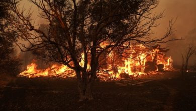 Φωτιά ξέσπασε το απόγευμα της Κυριακής, 17 Αυγούστου, σε δασική έκταση στη Βοβούσα Ιωαννίνων, κινητοποιώντας άμεσα