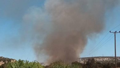 Συναγερμός σήμανε στο Λαύριο, καθώς φωτιά ξέσπασε κοντά στον βιολογικό καθαρισμό του Θορικού. Το μεσημέρι της Τετάρτης