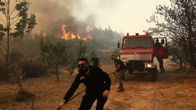 Σε κατάσταση συναγερμού βρίσκεται η πυροσβεστική για μεγάλη φωτιά που ξέσπασε το μεσημέρι της Τετάρτης στην περιοχή Παλιοκαμάριζα