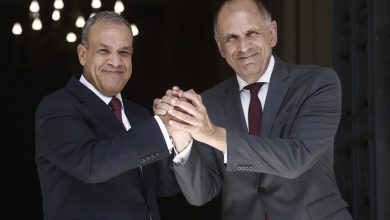 Σε μια σημαντική δήλωση, ο Αιγύπτιος υπουργός Εξωτερικών, Μπαντρ Αμπντελάτι, προανήγγειλε τη συμφωνία μεταξύ της Αιγύπτου και