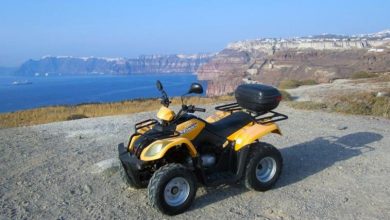 Μετά από στοχευμένη επιχείρηση των αστυνομικών Αρχών, εξαρθρώθηκε μια οργανωμένη εγκληματική ομάδα αλλοδαπών που είχε μετατρέψει