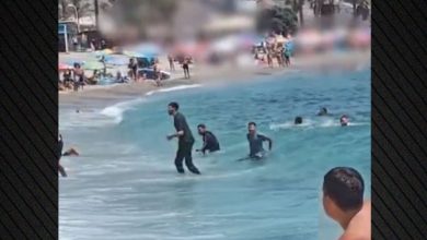 Απίστευτες στιγμές εκτυλίχθηκαν το μεσημέρι της Κυριακής στην παραλία Σοτίγιο, στην περιοχή Καστέλ ντε Φέρρο της Γρανάδα, όταν ένα ταχύπλοο