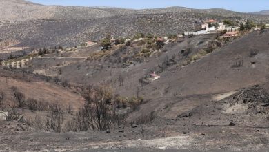 Η φωτιά στην Κερατέα άφησε πίσω της ένα μαύρο αποτύπωμα. Ένας νεκρός, καμμένα σπίτια, κατεστραμμένες περιουσίες, δέντρα και πράσινο