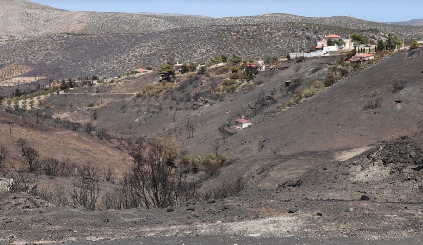Η φωτιά στην Κερατέα άφησε πίσω της ένα μαύρο αποτύπωμα. Ένας νεκρός, καμμένα σπίτια, κατεστραμμένες περιουσίες, δέντρα και πράσινο