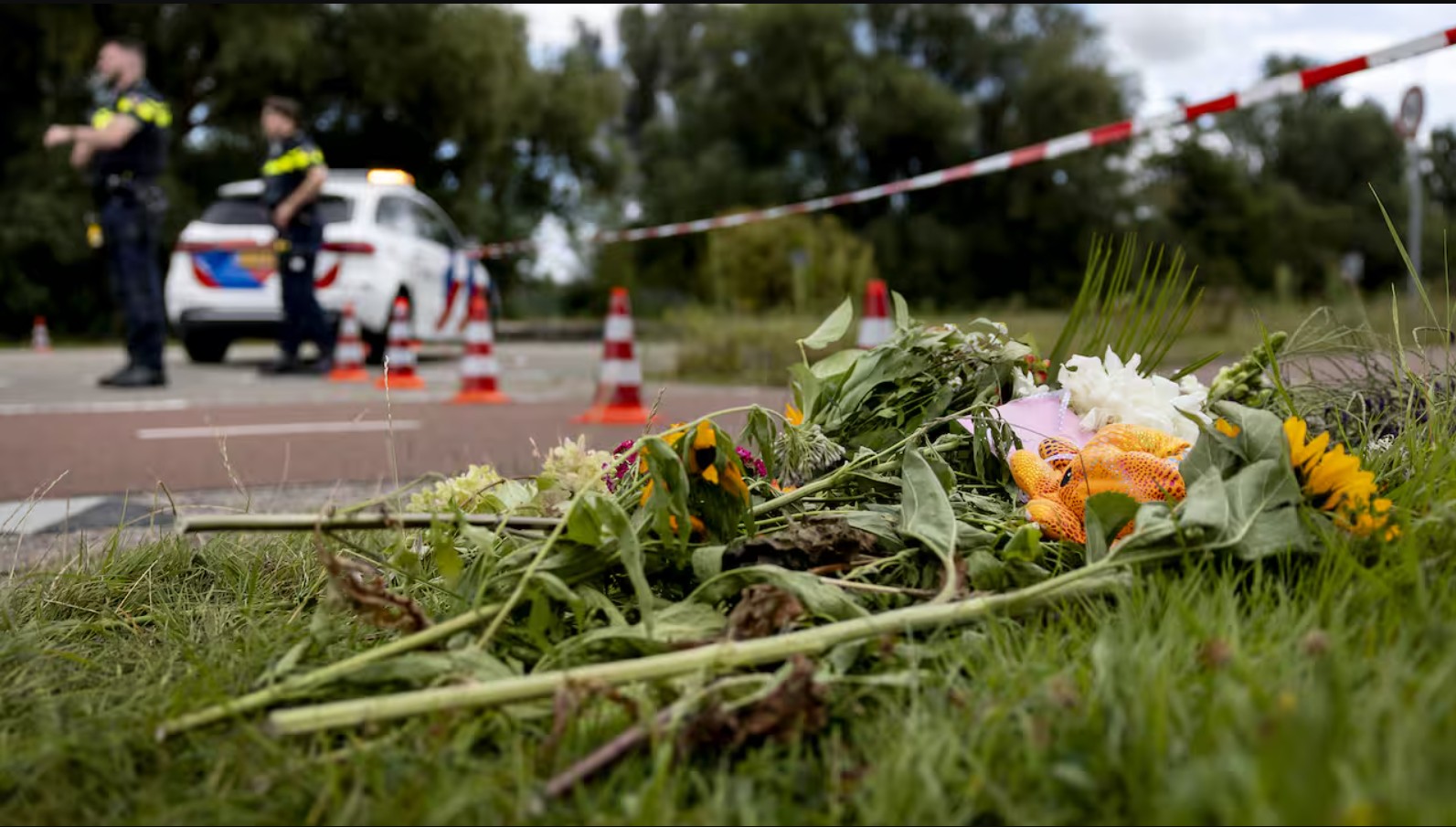 Στην Ολλανδία ξεχιλίζει η οργή μετά τη σύλληψη ενός 22χρονου αιτούντος άσυλο, ο οποίος φέρεται να δολοφόνησε με άγριο τρόπο τη 17χρονη Λίζα.